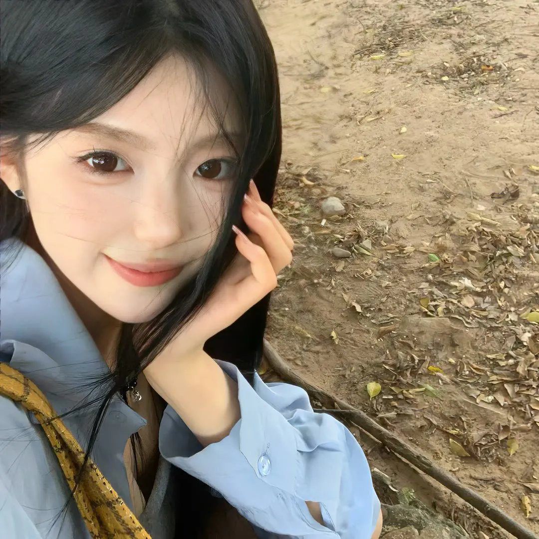 白鹭